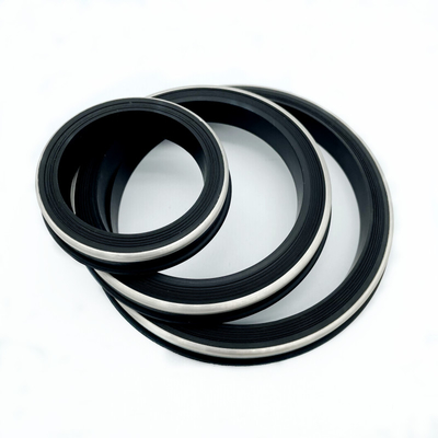 2 " 3 " 4 " Buna HNBR Fig1502 Χρωματιστή Πτέρυγα Σφραγίδα της Ένωσης με SS 304 πίσω