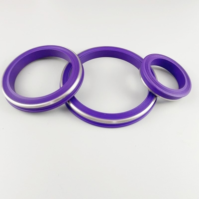 2 " 3 " 4 " Buna HNBR Fig1502 Χρωματιστή Πτέρυγα Σφραγίδα της Ένωσης με SS 304 πίσω