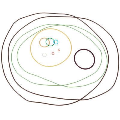 Προϊστάμενος κατασκευαστής O-ring Premium Oil-Resistant AS568 Precision FFKM Rubber O-Rings για φυσικό αέριο