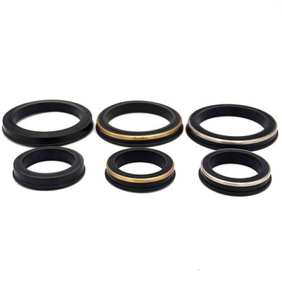 Υψηλής πίεσης 15.000 PSI σφυροκόπημα ένωση σφραγίδα χείλη με πετρελαϊκό πεδίο βαθμό NBR και αυτοενεργοποιημένο σχεδιασμό