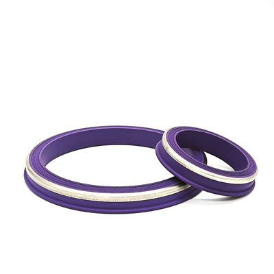 Σφραγίδα HNBR Hammer Union 2 3 4 ίντσες για τη βιομηχανία πετρελαίου και φυσικού αερίου