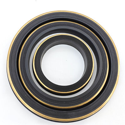 15 χλμ. PSI Σφραγίδες ενσωμάτωσης πτέρυγας κατά της εξάτμισης με μπρούντζινο εφεδρικό για ρήξη υψηλής πίεσης