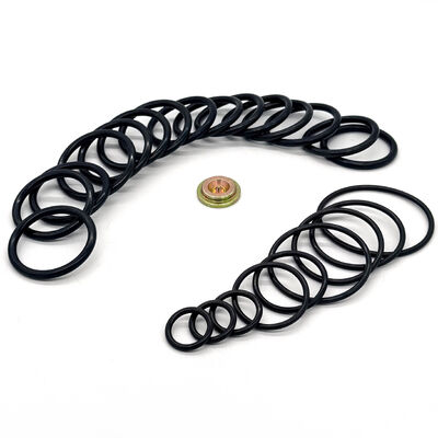 15,000 PSI HNBR FKM Aflas NBR Seal Kit για μέγεθος 10 Οργανισμός ρύθμισης πίεσης καλωδίου ISO 9001 Redress Kit