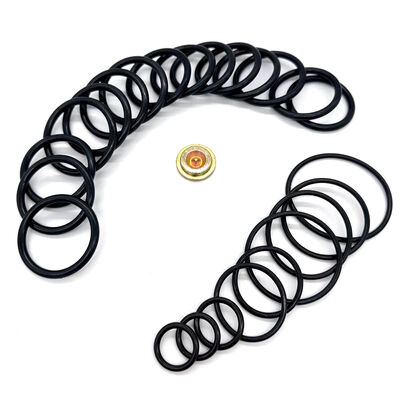 15,000 PSI HNBR FKM Aflas NBR Seal Kit για μέγεθος 10 Οργανισμός ρύθμισης πίεσης καλωδίου ISO 9001 Redress Kit