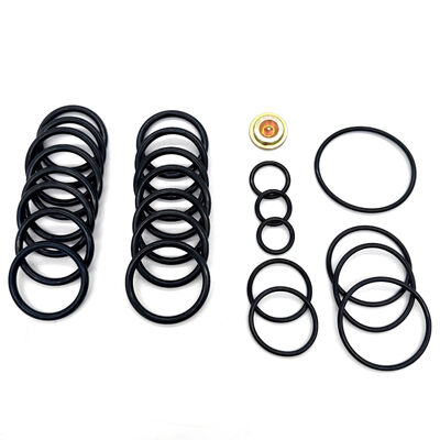 15,000 PSI #10 Style Wireline Adapter Redress Kit με HNBR Viton Aflas NBR Σφραγίδες ISO 9001 Πιστοποιημένο