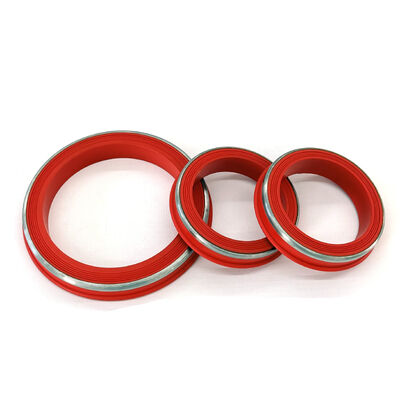 Ανθεκτικές στη θερμοκρασία FKM Lip Style Hammer Union Seals με SS Ring Σχεδιασμένες για περιβάλλοντα H2S & CO2