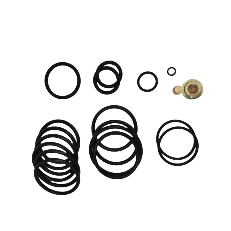 90 Shore Ένα O-Ring Kit με AP Compact SettingTool Σφραγίδες για βιομηχανικές συσκευές